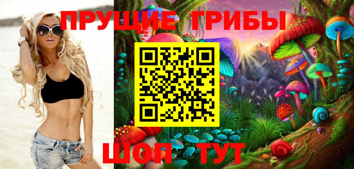 закладки  Галлюциногенные грибы прущие грибы  Вход с VPN  Грозный 